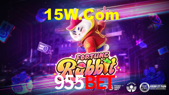 955Bet - App Security